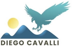 Company introducing - DIEGO CAVALLI  International